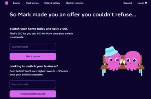 Octopus Energy referral code - referral journey