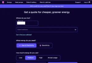 Octopus energy referral journey step 2